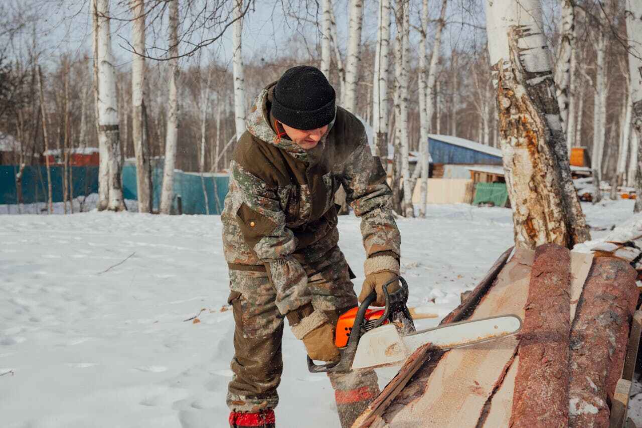 The Steps Involved in Our Tree Care Process in Thomaston, GA